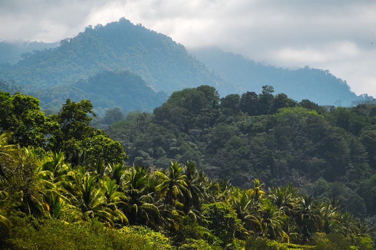 Bergachtige omgeving van Uvita, Costa Rica